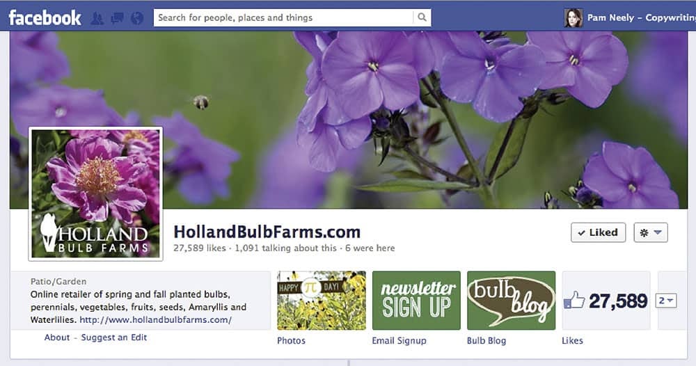 Beispiel Newsletter-Anmeldung in Facebook