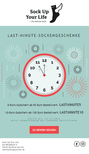 screenshot eines weihnachts-newsletters von sock up your life