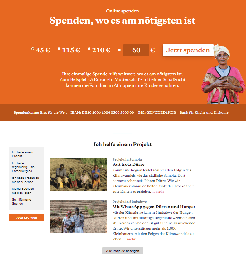 Landingpage-Beispiel für ein Nonprofit