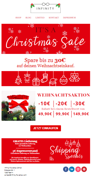 screenshot eines weihnachts-newsletters von infinity flowerbox