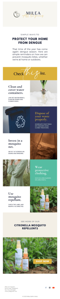 shopify newsletter with advice