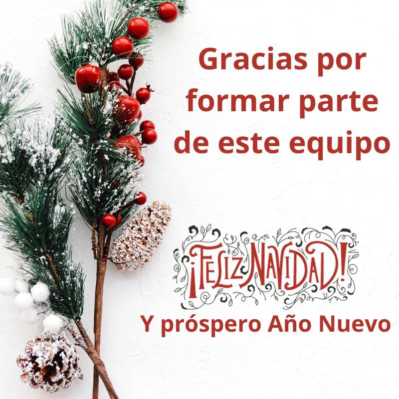 ¡Feliz navidad y próspero Año Nuevo! - 1