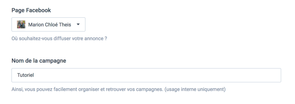 Créer et gérer des publicités facebook ads #5