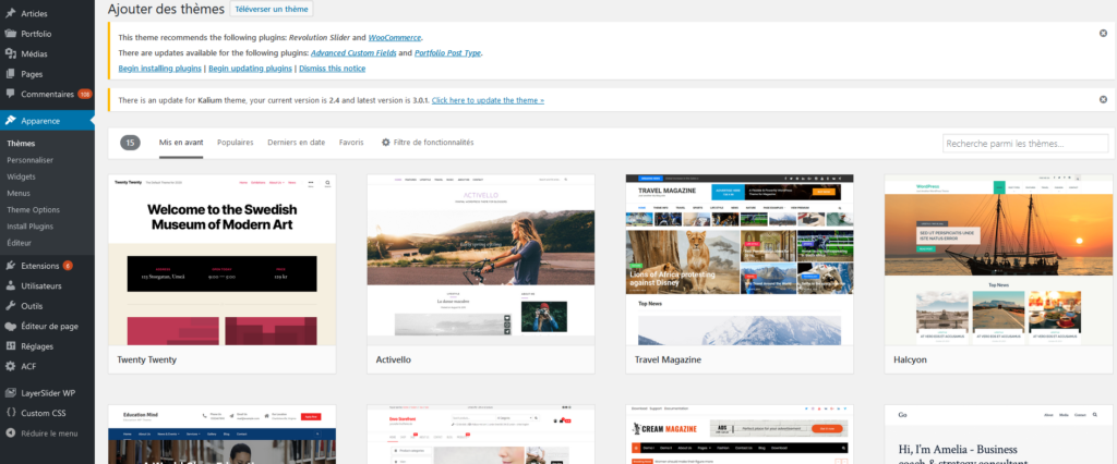 Thèmes WordPress