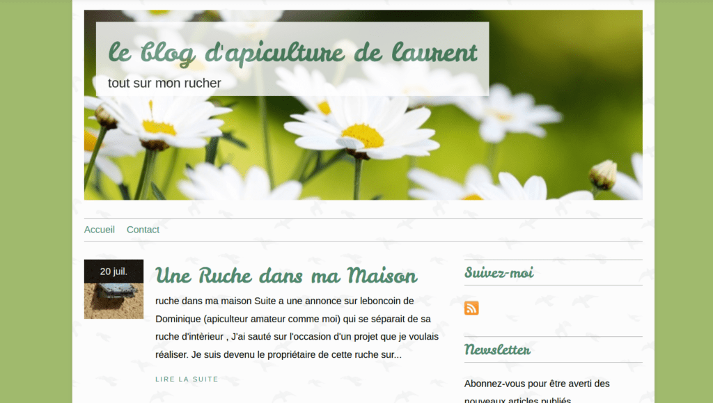Blogging -exemple blog 2