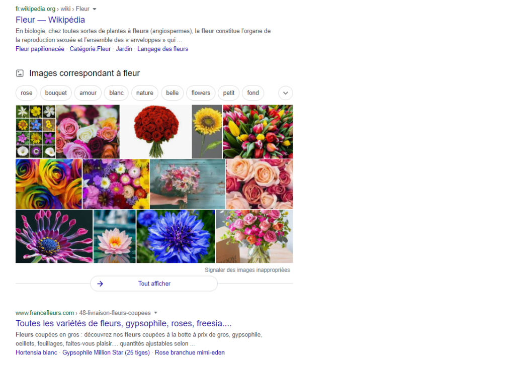Guide Seo - Keywords