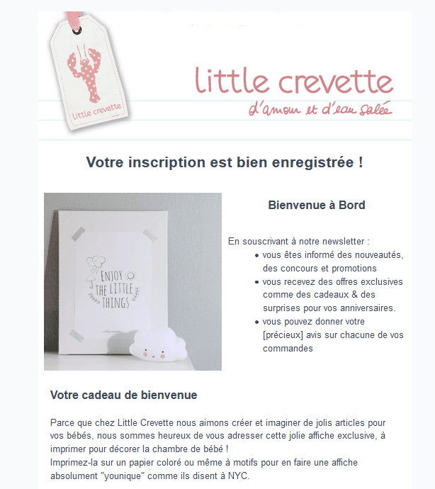 Emails De Bienvenue : Exemples Et Bonnes Pratiques - Brevo