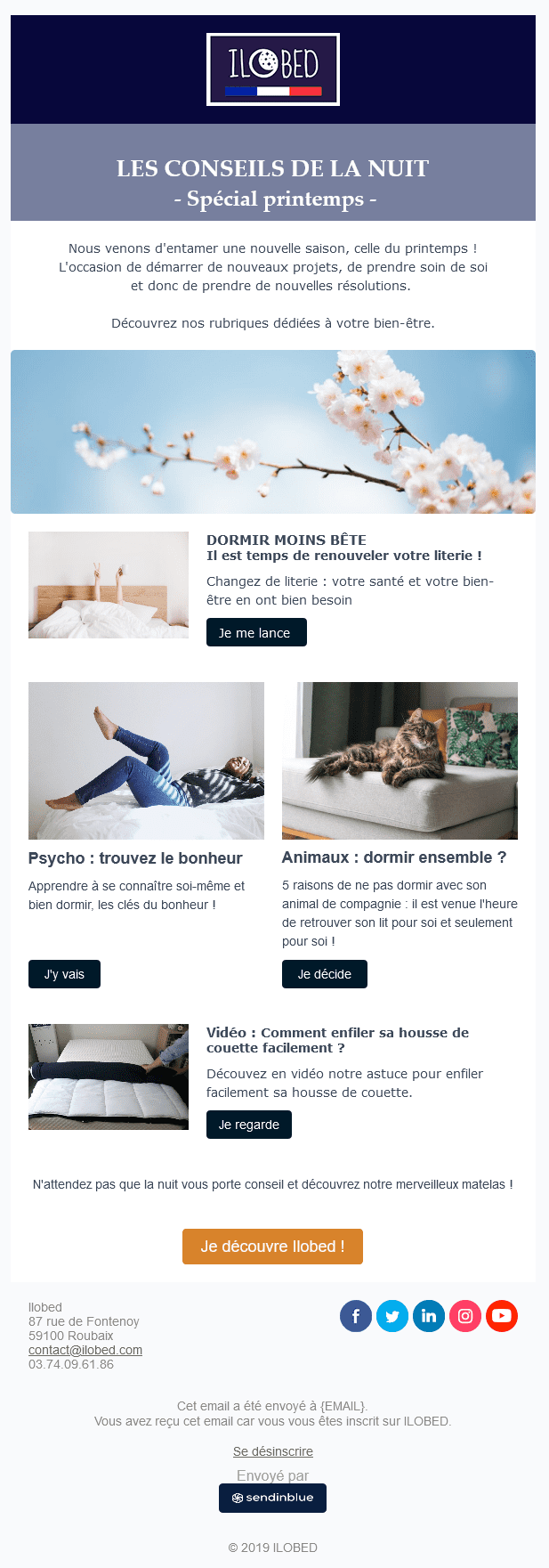 Exemple Newsletter - Ilobed