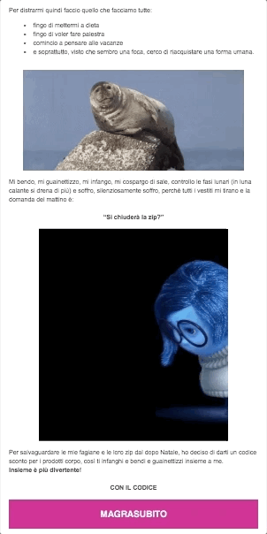 cinica-gif-newsletter-esempio