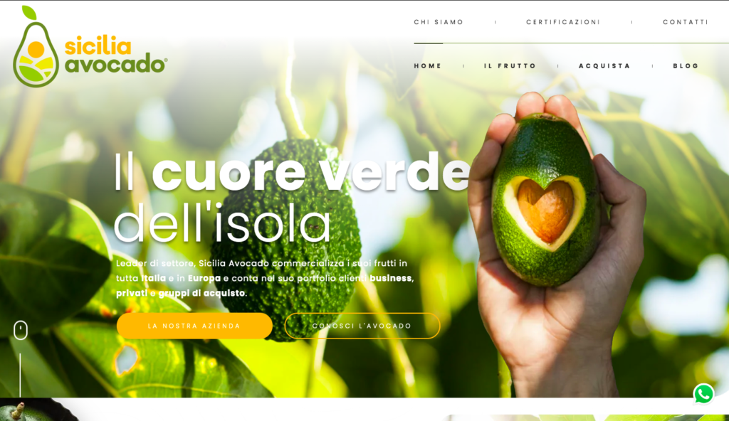 Sicilia-avocado-esempio-ecommerce